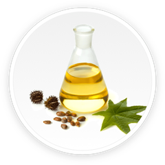 Undecylenic Acid ingredient photo